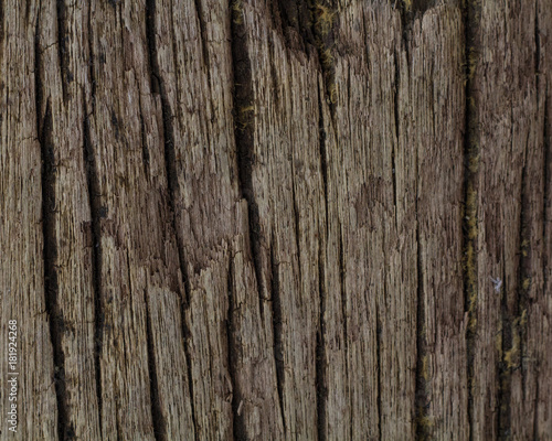 close up wood 