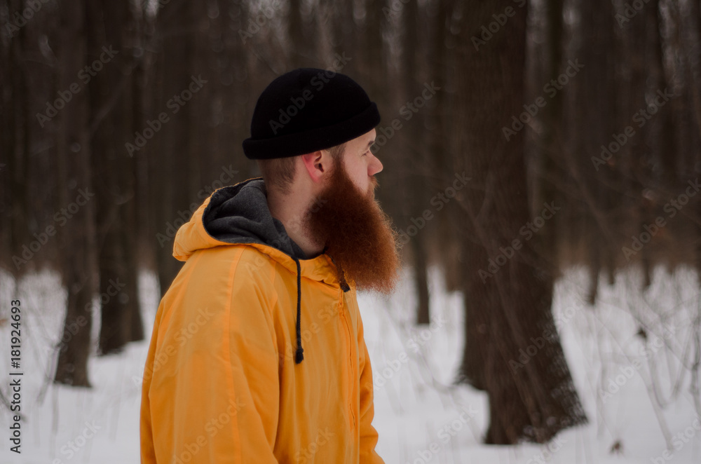 A man with a long beard, a winter landscape, a park, a forest, and a tree