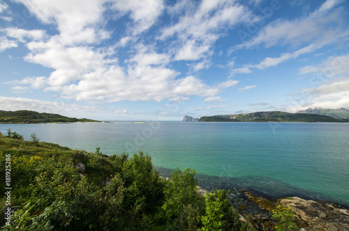 Wide angle view of a Norwegian fjord in summer. Different shades of green a blue dominate the picture. Forest covered shore in foreground, distant mountains on horizon. 