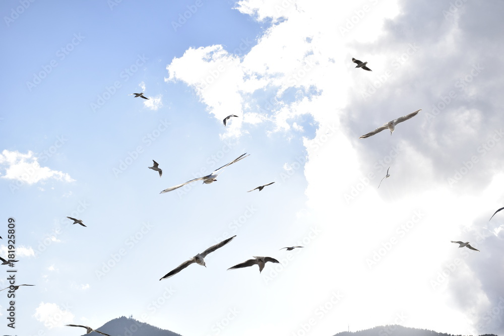 Fototapeta premium sky