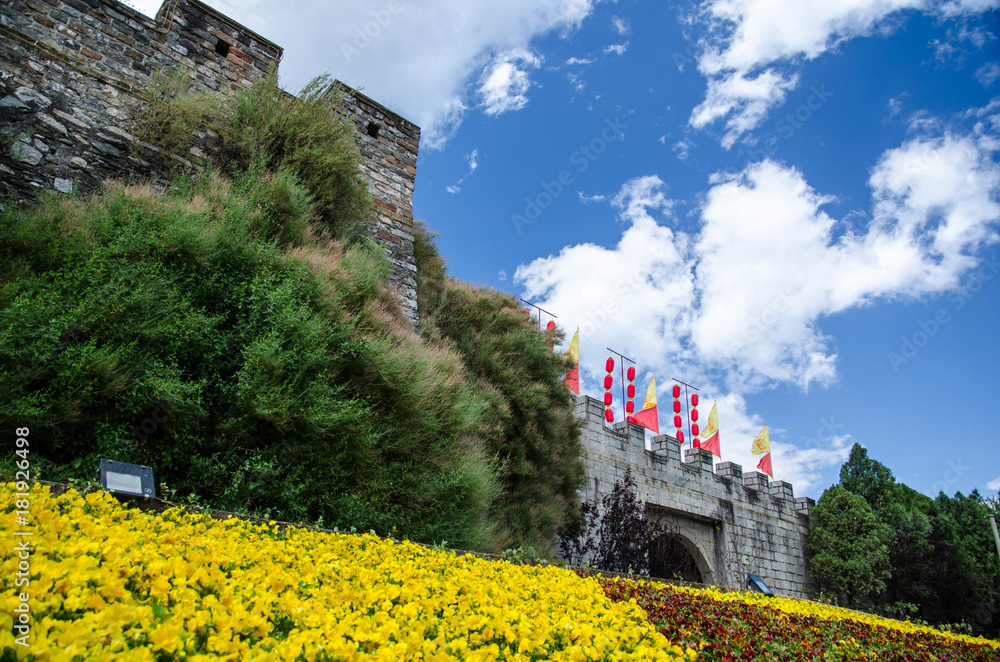 Fortress and yellow flower in Blur sky day