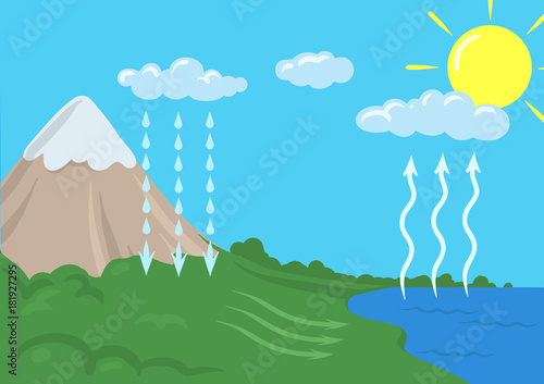 Vector schematic representation of the water cycle in nature, hydrological cycle. Infographics Illustration.