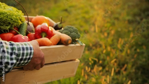 Close up of the vegetables in the wooden box being carried by man's hands. Outdoors