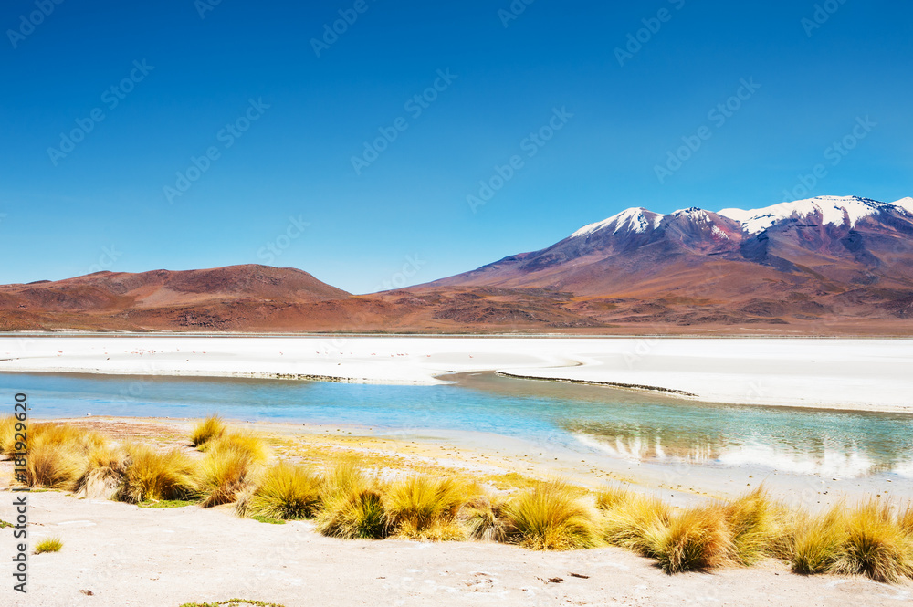 Celeste lagoon and volcano in Altiplano, Bolivia
