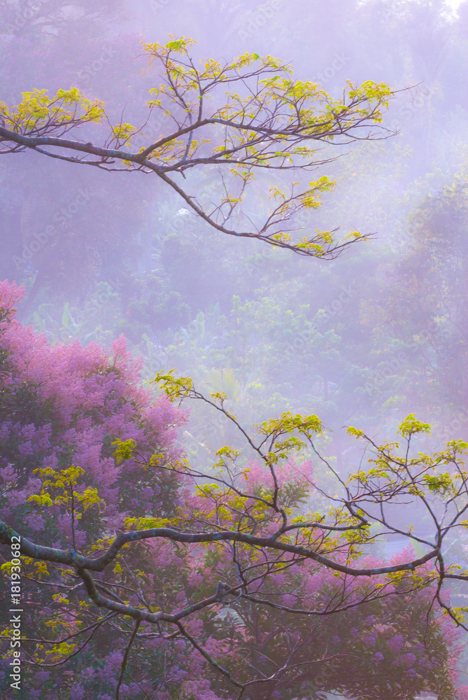 Soft, painterly view of trees, flowers and mist, Japanese feel