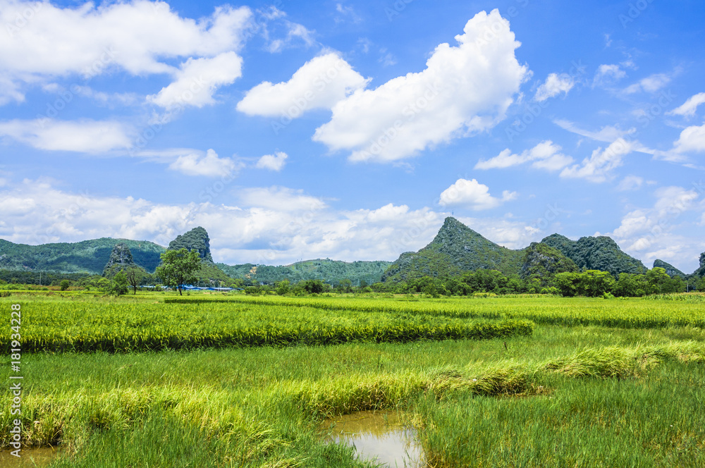 Fototapeta premium Beautiful countryside scenery in summer
