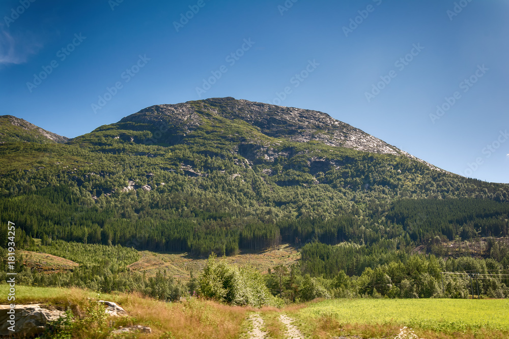 Mountains and forests in Norway 