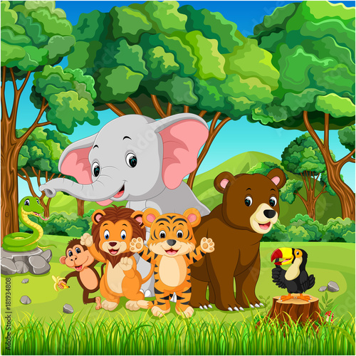Wild animals in the forest 