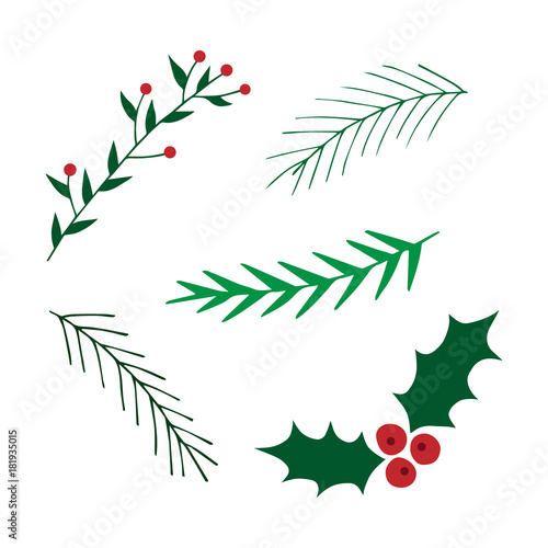 Hand drawn christmas set. Mistletoe and leavy branches vector illustrations. Conifer tree branches. photo