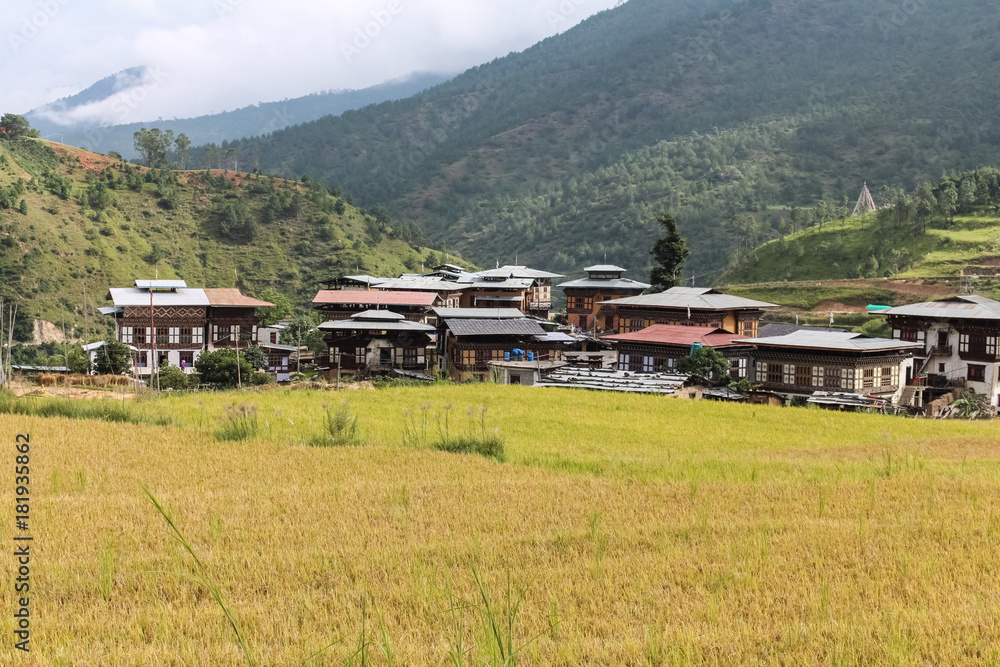 Traditional Bhutanese architecture in a rice field near Thimphu, Bhutan.