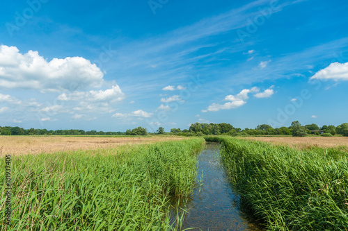 Landschaft nahe der Basilika in Altenkrempe