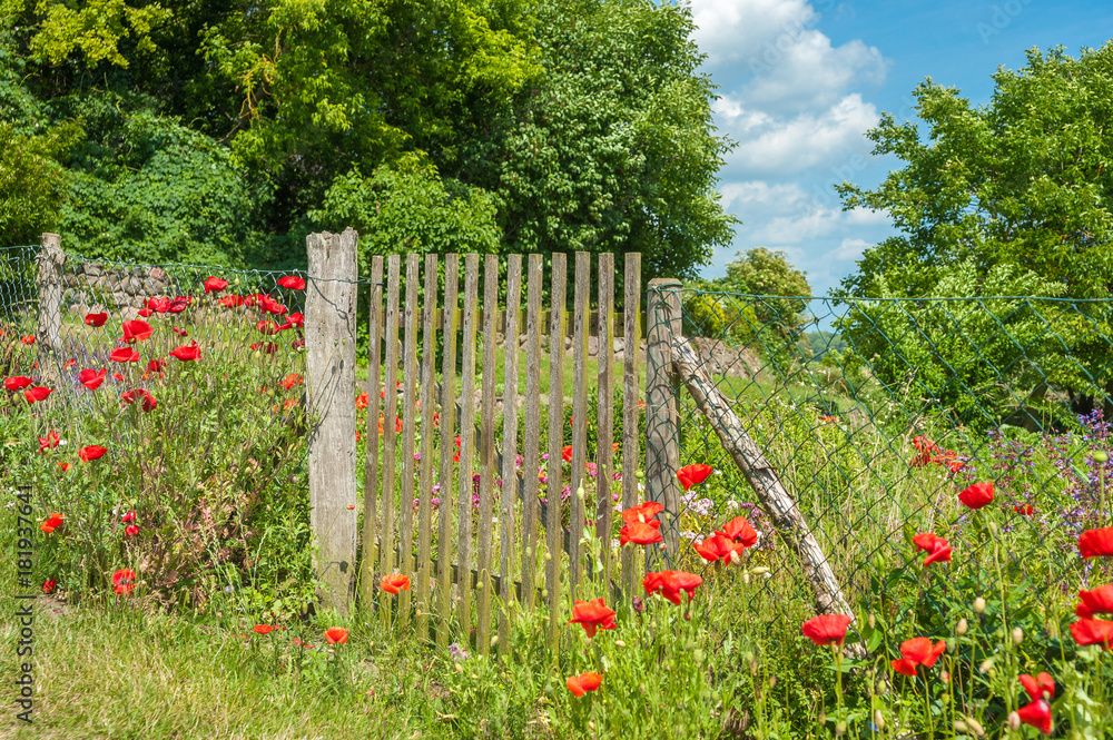 Kräuter und Blumengarten hinter der Basilika von Altenkrempe Stock
