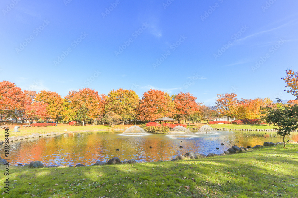  Japan autumn , Beautiful autumn leaves of Obuse park ,Nagano Prefecture,Japan.