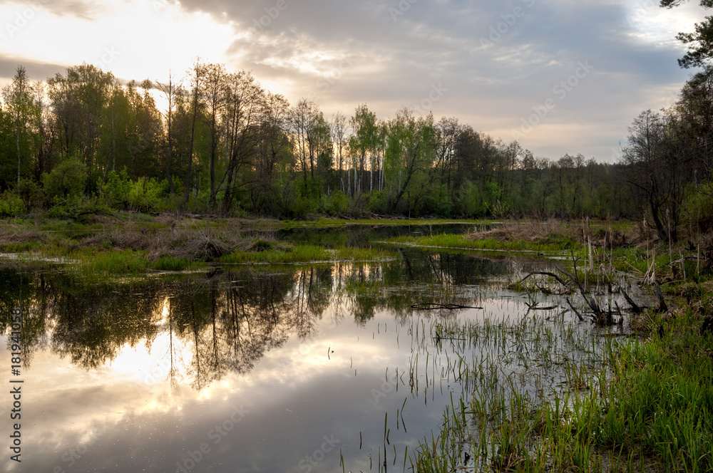 Spring catering. A beautiful spring landscape with a swamp, Sunrise. Green forest and cloudy sky with clouds. Natural environmental concept in the open air.