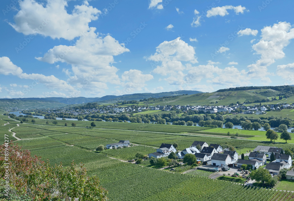 Blick in die Weinregion Mittelmosel,Rheinland-Pfalz,Deutschland