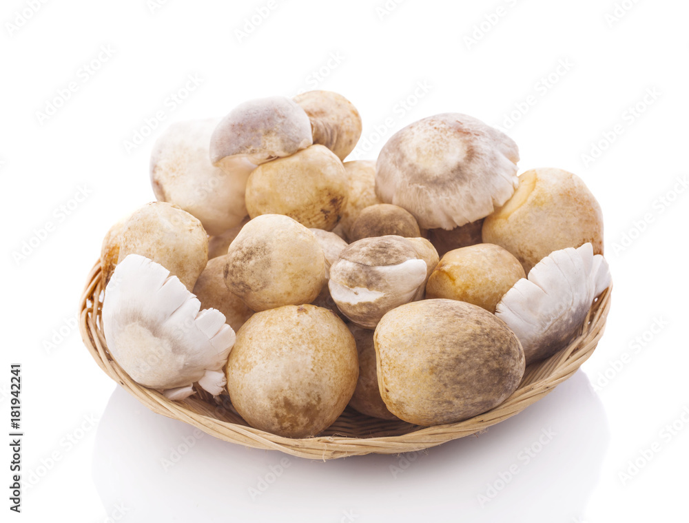 Straw mushrooms in isolated white background Straw mushrooms in isolated white background