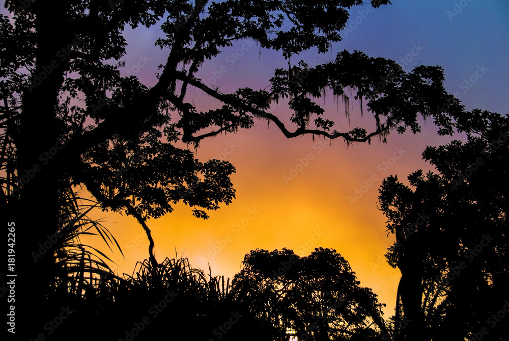 Colorful and dramatic sunset silhouette of tropical forest, Mount Rinjani, Lombok, Indonesia