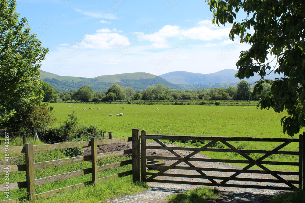 Field with fence and gate, framed by trees and looking toward the hills. Lake District, UK. Field with fence and gate, framed by trees and looking toward the hills. Lake District, UK.