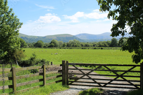 Field with fence and gate, framed by trees and looking toward the hills. Lake District, UK. photo