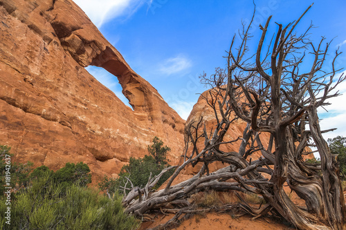 View on the skyline arch in Arches National Park, Utah photo