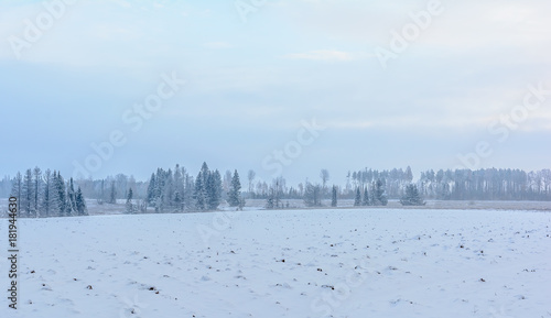 Winter field, Fog in the field © Карим Татаринов