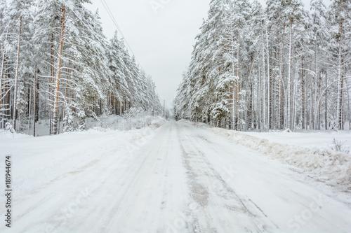 Winter Road, Trees, Snow Day © Карим Татаринов