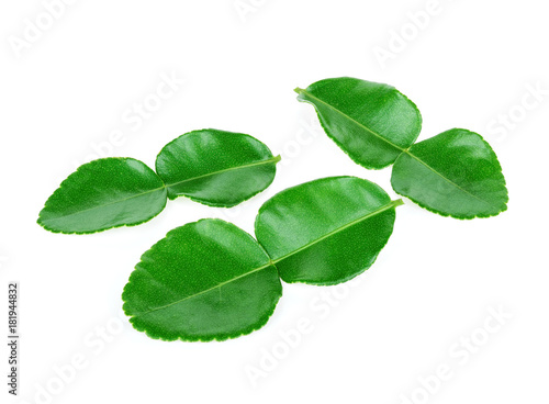 Kaffir lime leaves isolated on white background