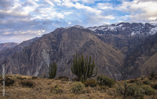 The canyon Colca is the deepest in the world