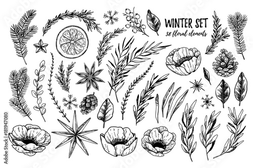 Vector illustrations - Winter floral set (flowers, leaves and branches). Hand drawn Christmas elements in sketch style. Perfect for invitations, greeting cards, tattoo, prints, postcards etc photo