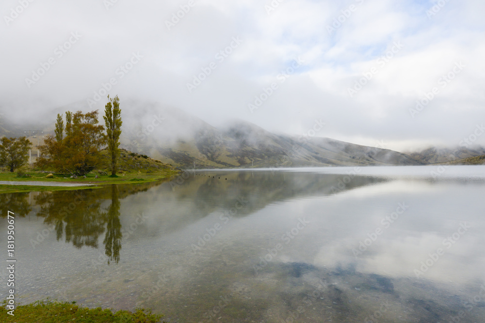 lake among the valley with fox in New Zealand