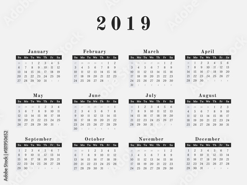 2019 Year Calendar horizontal design