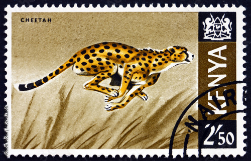 Postage stamp Kenya 1966 cheetah, acinonyx jubatus, animal