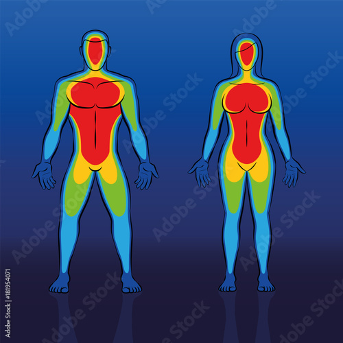 Body warmth thermogram of male and female body - infrared thermography of a couple with cooler blue areas at edge regions like hands and feet and the much warmer red torso. Schematic vector.