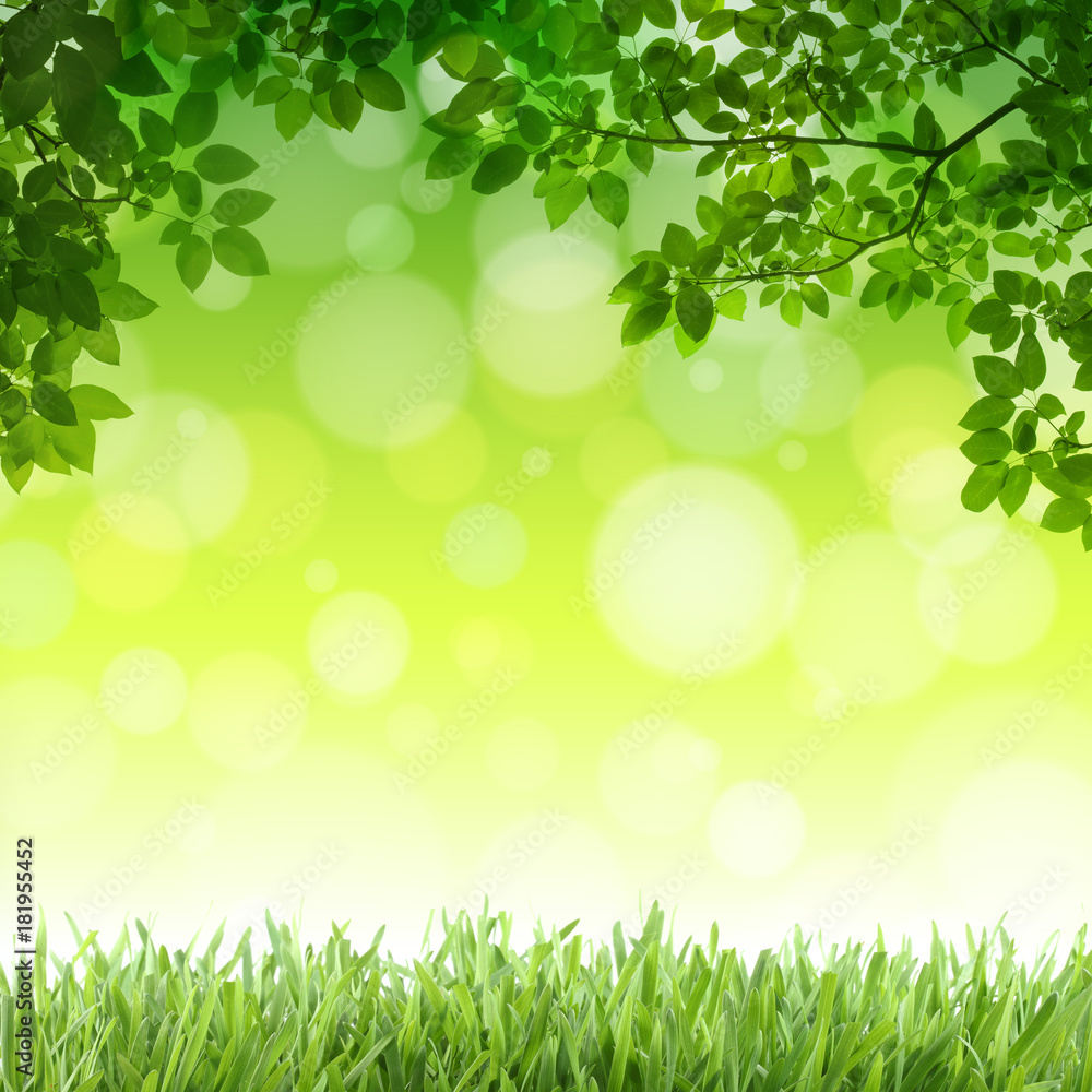 illustration pour fond illustration pour fond