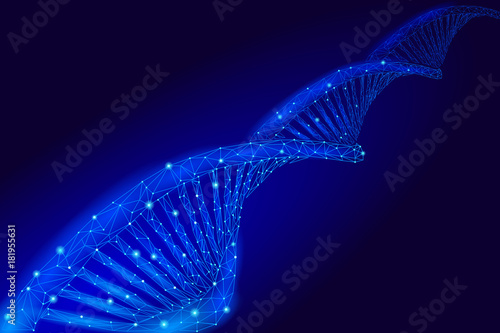 DNA 3D chemical molecule structure low poly. Polygonal triangle point line healthy cell part. Microscopic science blue medicine genome engineering vector illustration future business technology