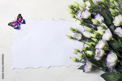 wallpaper, celebration, birthday, february 14, valentine, card, greetings, gift, holiday, bright, butterfly, decorative, springtime, colorful, table, bloom, closeup, garden, elegant, greeting, anniver photo