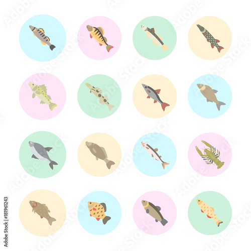 Set Vector Flat Icons of Freshwater Fish photo