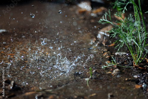 Rain spray on old concrete.