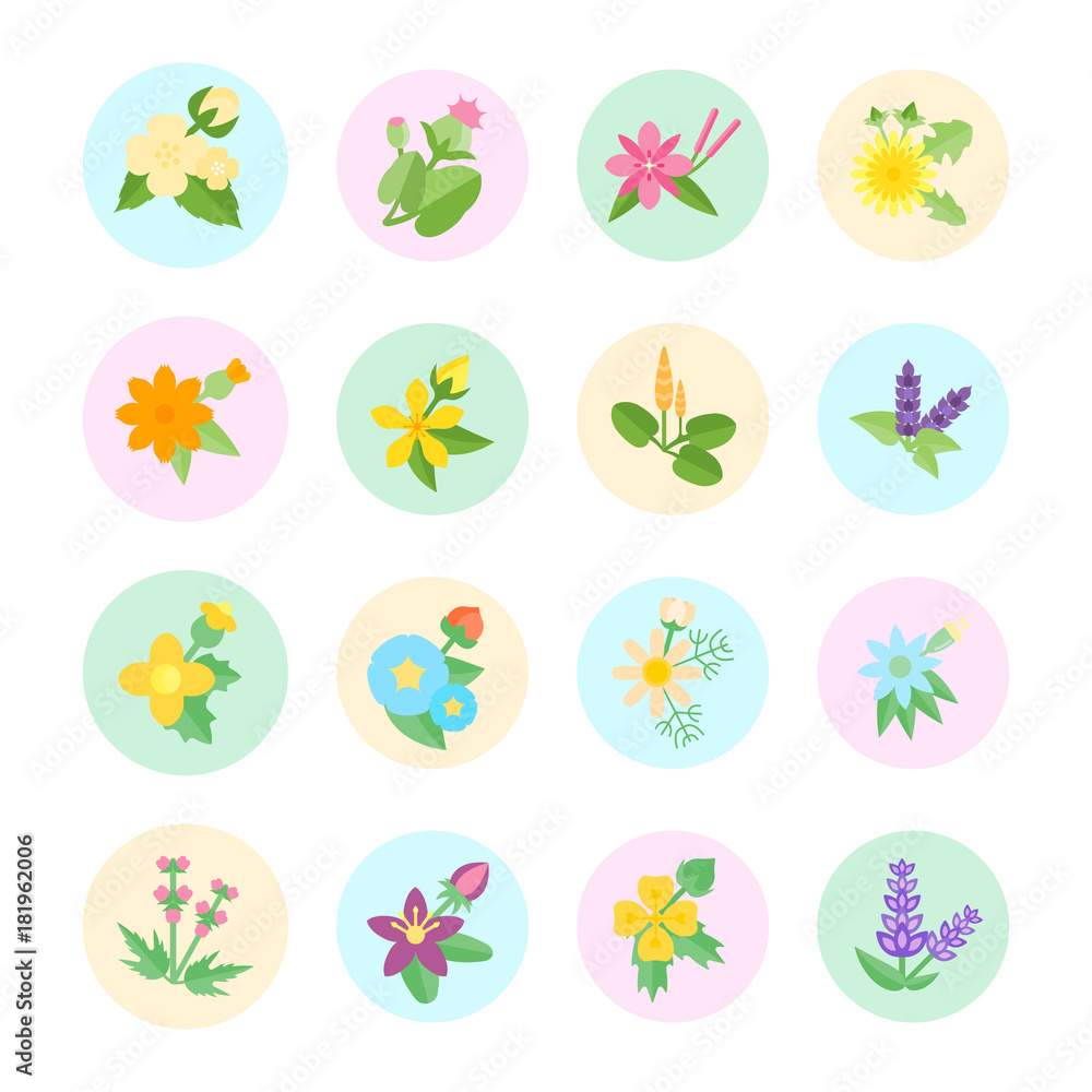 Set Vector Flat Icons of Herbs