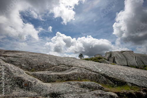 Solitary tree in vast, rocky landscape photo