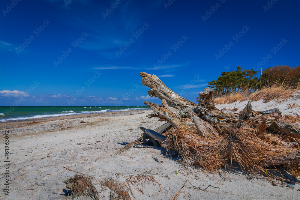 Weststrand of Baltic Sea near Prerow