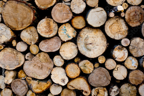 Wood texture background of cut logs. Pile of logs.