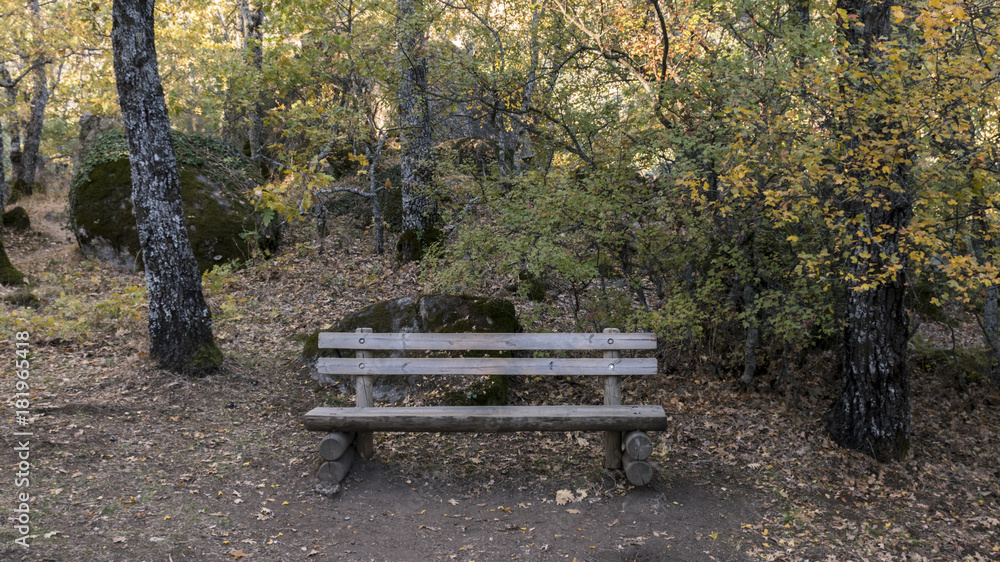 Wooden bench in the Forest of La Herreria, San Lorenzo del Escorial