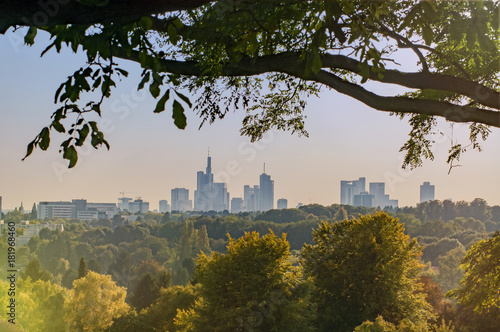 Skyline von Frankfurt am Main hinter ländlicher Szene mit Büschen und Bäumen