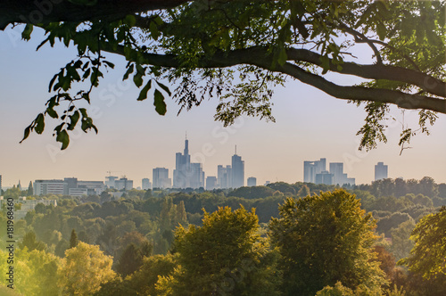 Skyline von Frankfurt am Main hinter ländlicher Szene mit Büschen und Bäumen photo