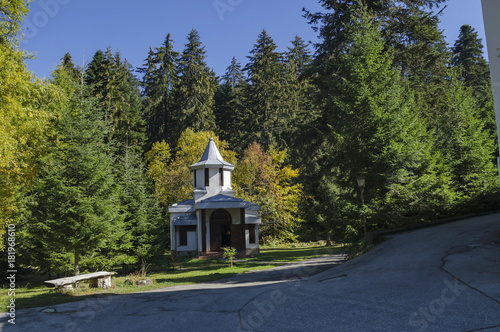 Beautiful landscape with autumnal venerable pine tree and old chapel, located in Old park Tsarska or Royal Bistritsa near by resort Borovets, Rila mountain, Bulgaria 