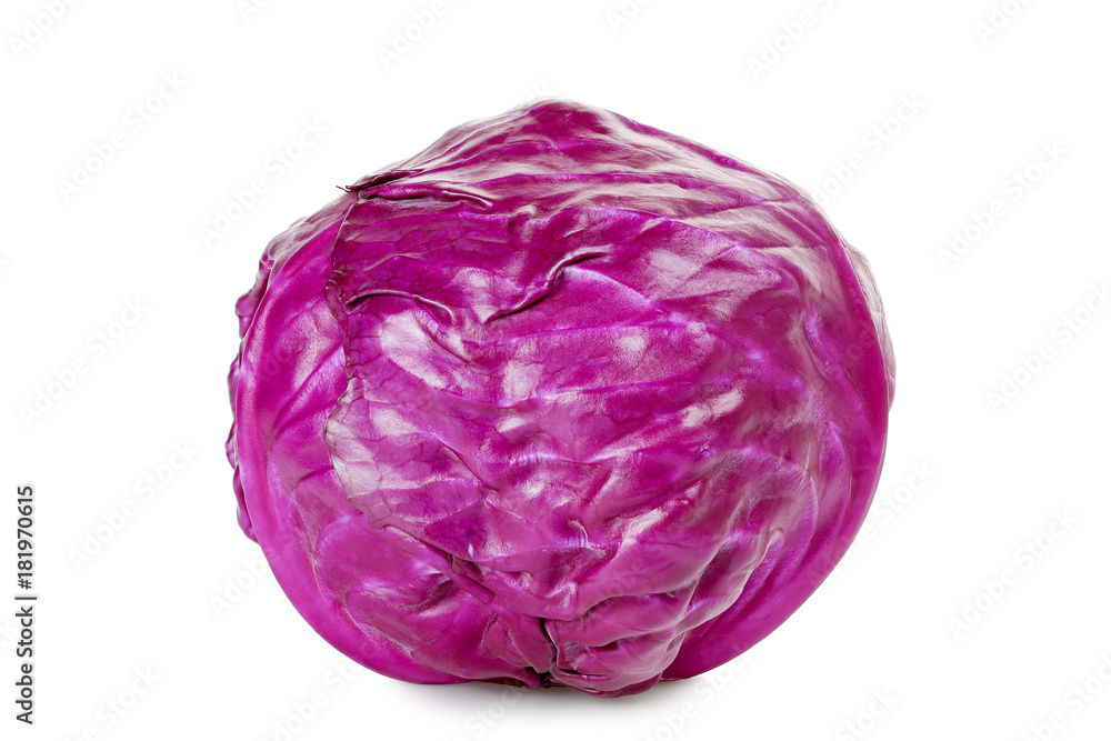 red cabbage red cabbage