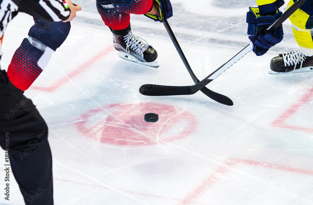 Naklejka premium ice hockey player on the ice
