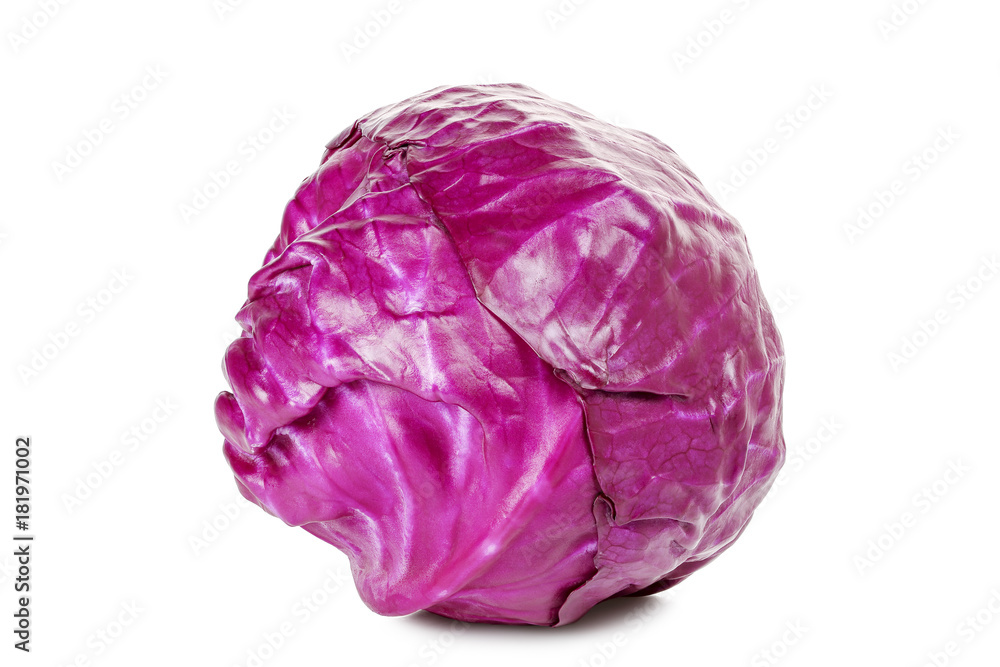 red cabbage red cabbage