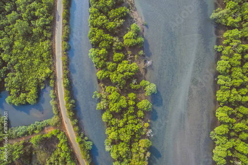 The river with tropical forests on its shores in Goa. Aerial view of lowland of river.